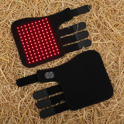 LumiLegs™ Vital - Geef je paard de ondersteuning die het verdient