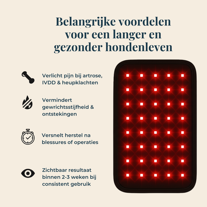 Lumi Vitality - Natuurlijke Ondersteuning voor Honden