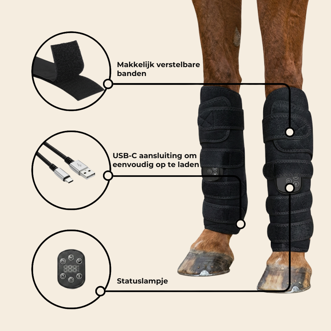LumiLegs™ Vital - Geef je paard de ondersteuning die het verdient