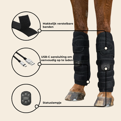 LumiLegs™ Vital - Geef je paard de ondersteuning die het verdient