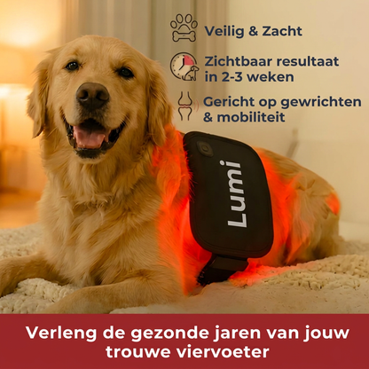 Lumi Vitality - Natuurlijke Ondersteuning voor Honden