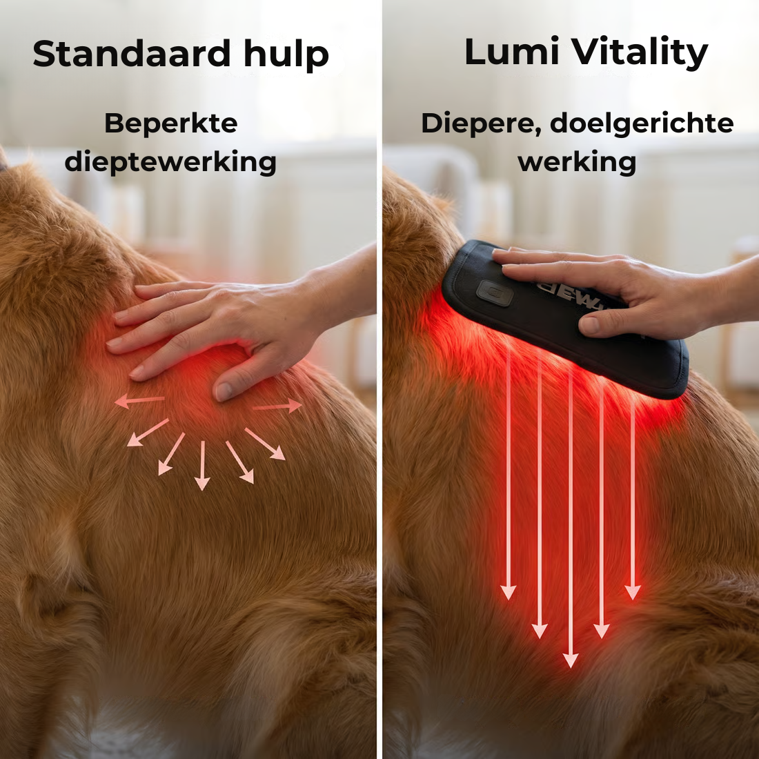 Lumi Vitality - Gun jouw hond het om kwispelend door het leven te gaan.