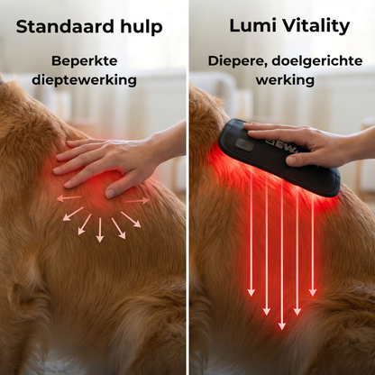 Lumi Vitality - Gun jouw hond het om kwispelend door het leven te gaan.