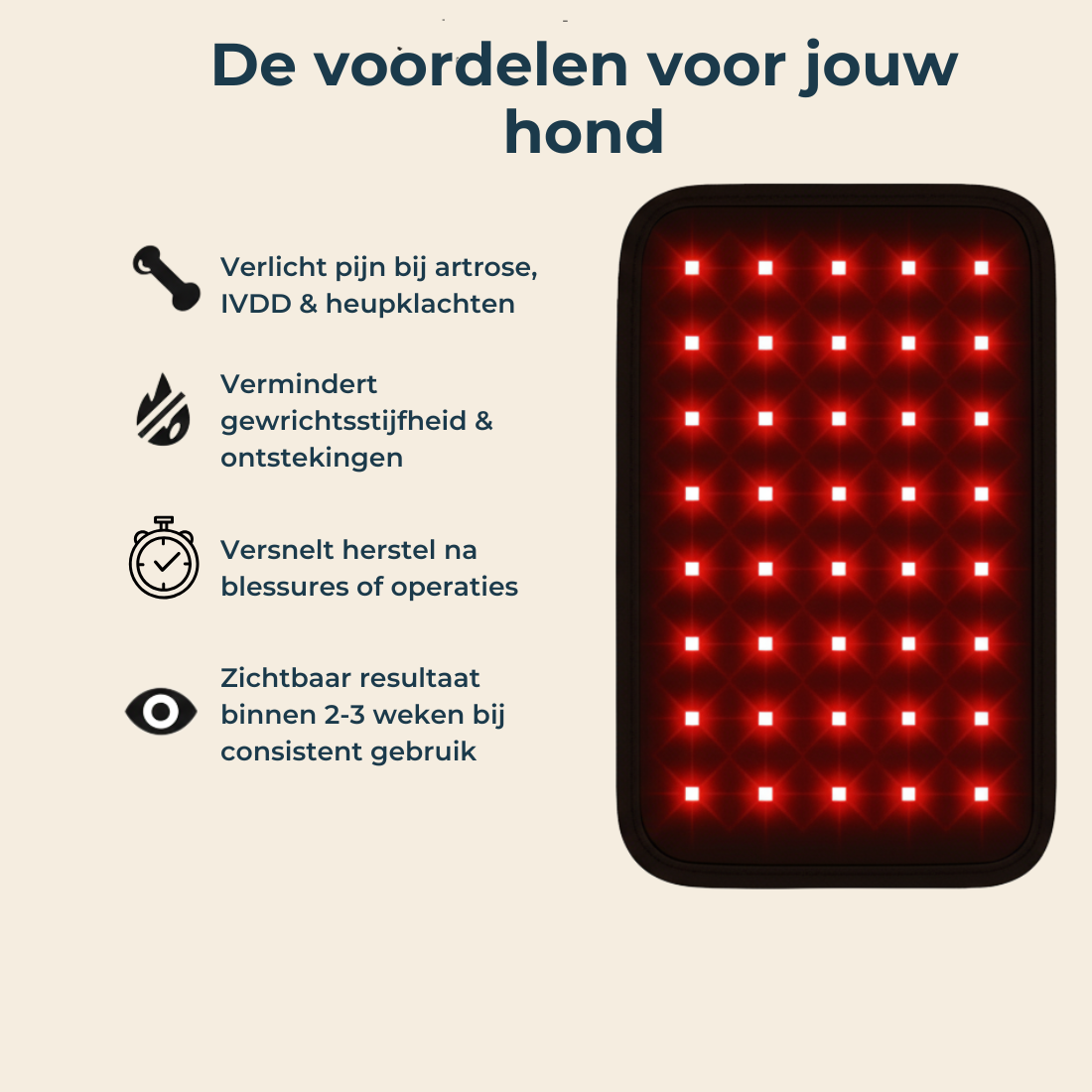 Lumi Vitality - Gun jouw hond het om kwispelend door het leven te gaan.