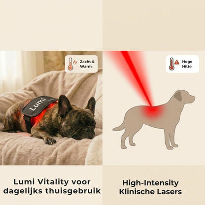 Lumi Vitality - Natuurlijke Ondersteuning voor Honden