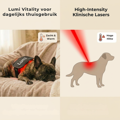 Lumi Vitality - Gun jouw hond het om kwispelend door het leven te gaan.