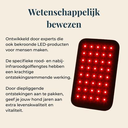 Lumi Vitality - Natuurlijke Ondersteuning voor Honden